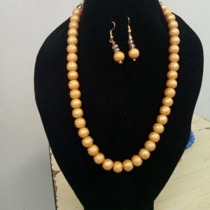 Simple Necklace and Earring